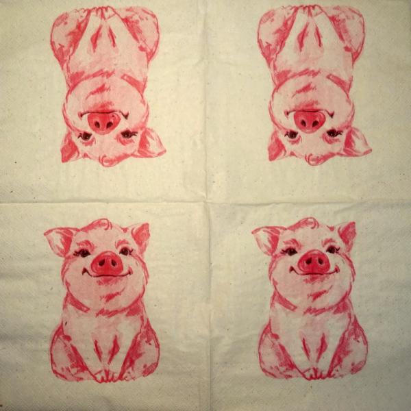 080 Pigs - 3-ply - Nouveau